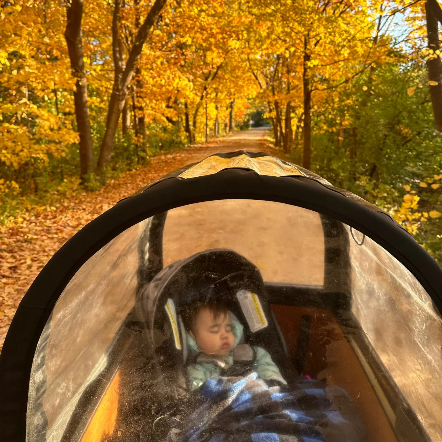 Weather Bubble (Rain Tent) - Image 3