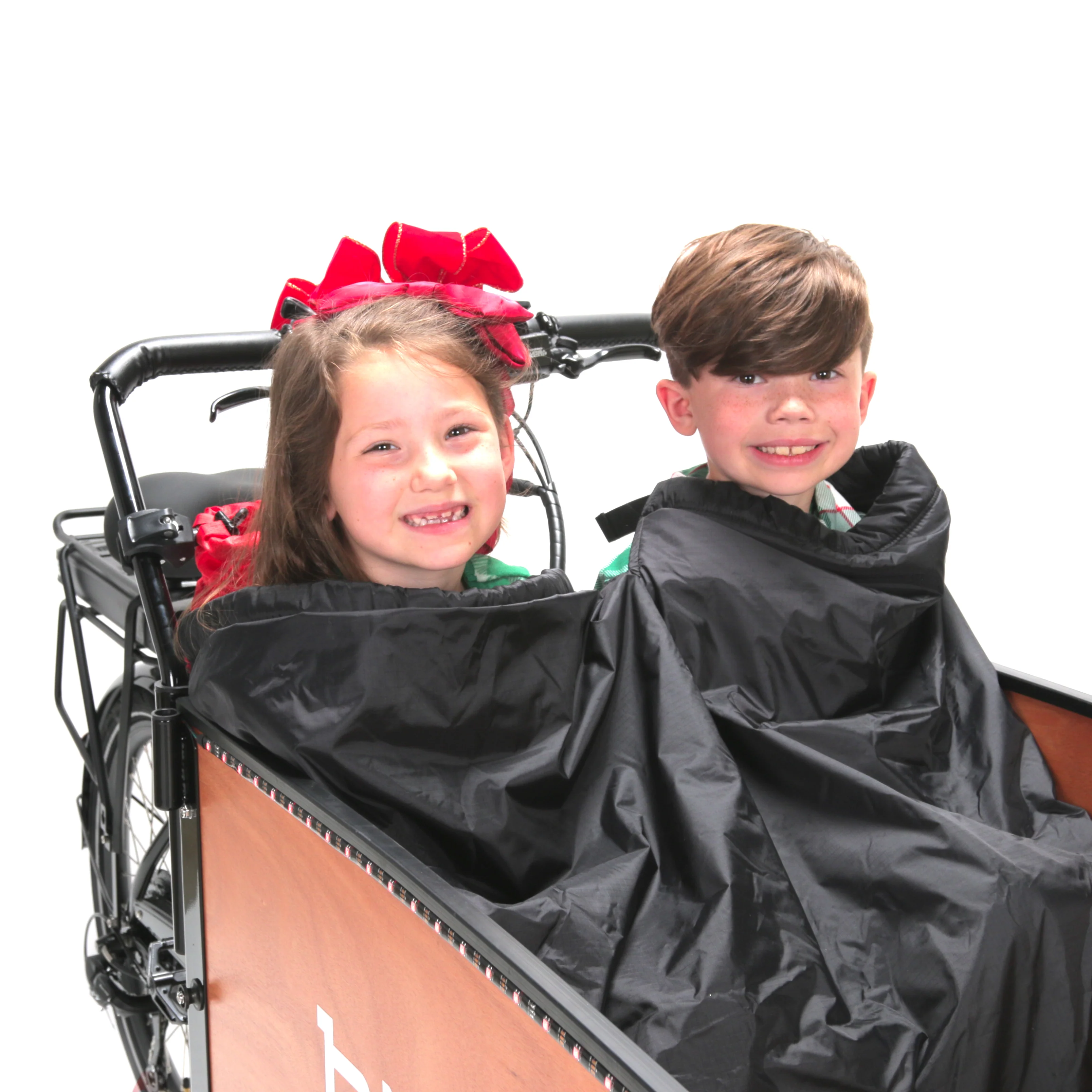 Lark's Bike Blanket - Image 10