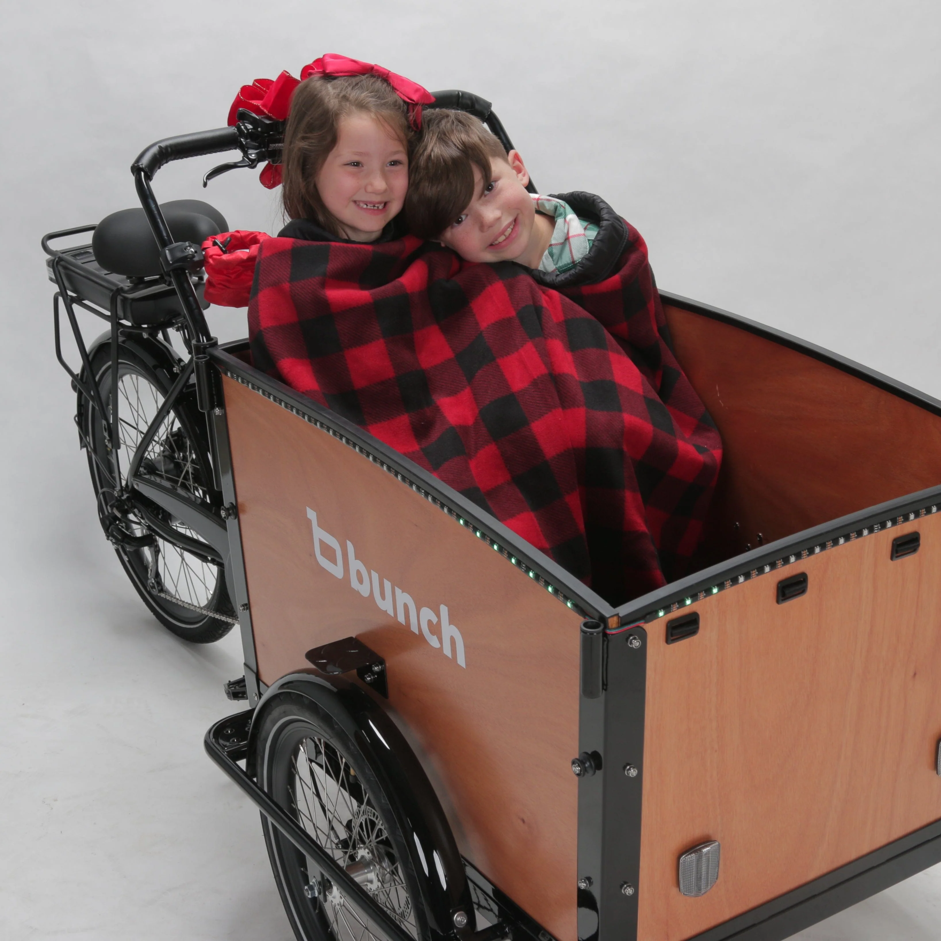 Lark's Bike Blanket - Image 11