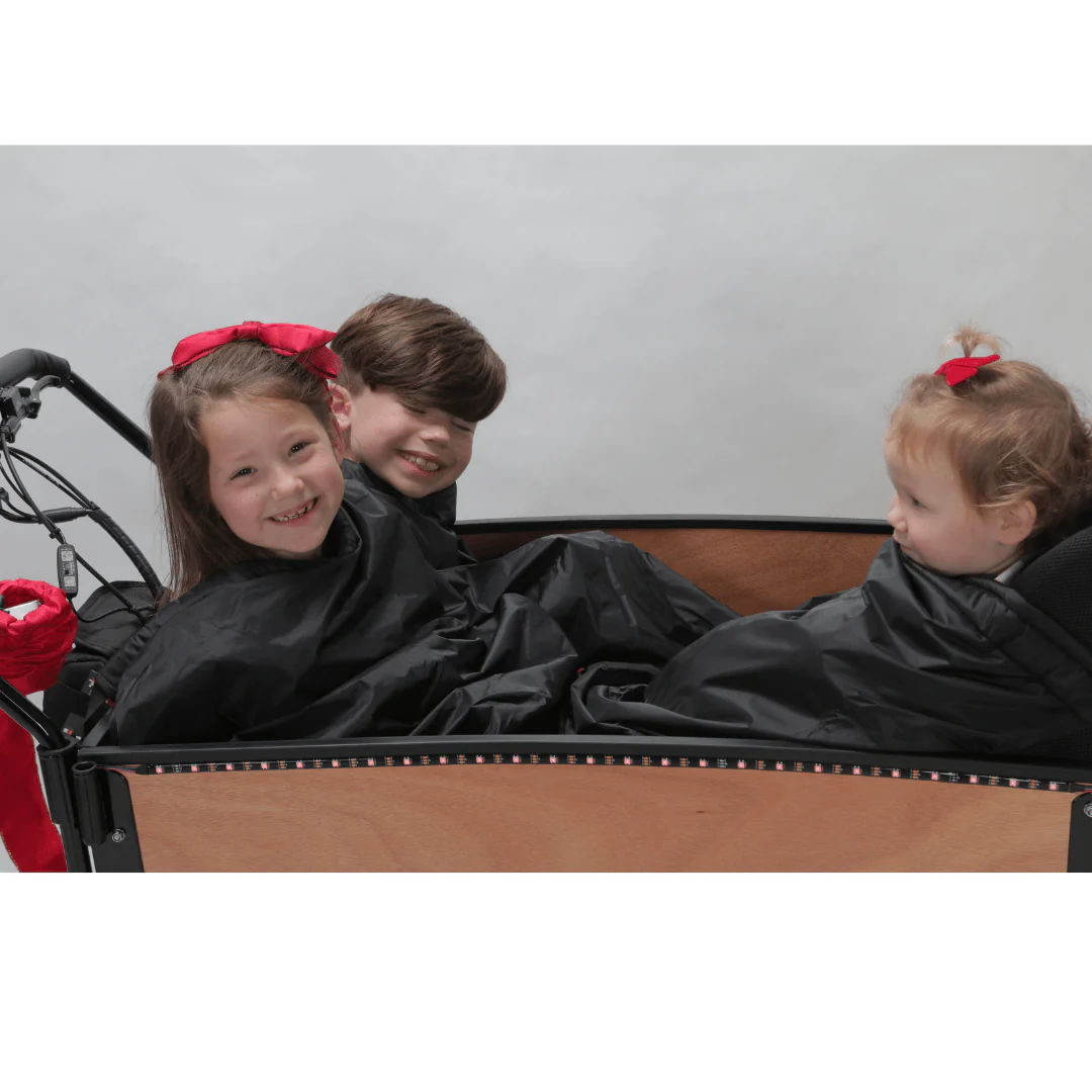 Lark's Bike Blanket - Image 12