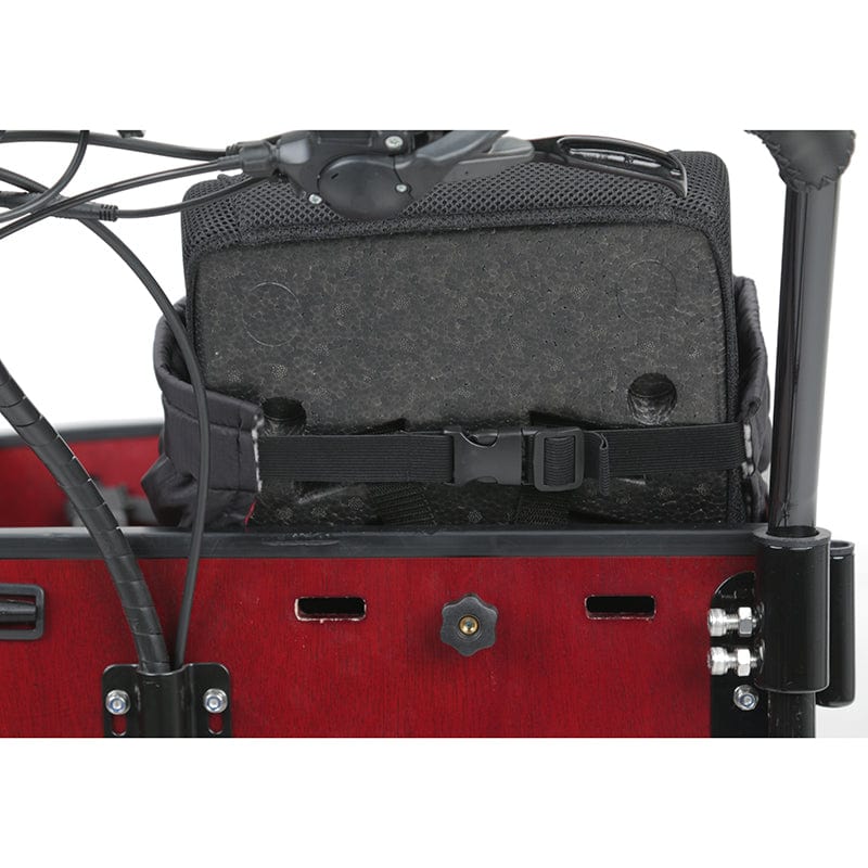 Lark's Bike Blanket - Image 6