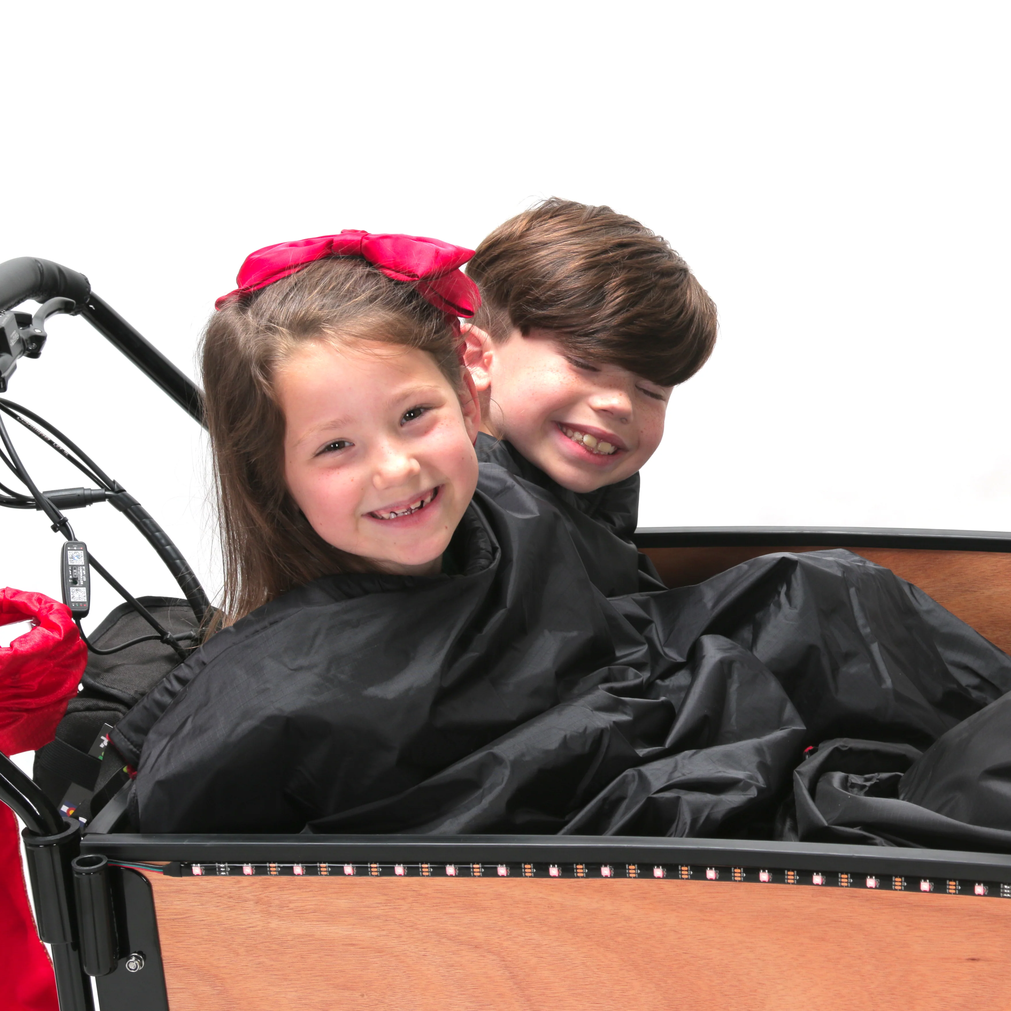 Lark's Bike Blanket - Image 8