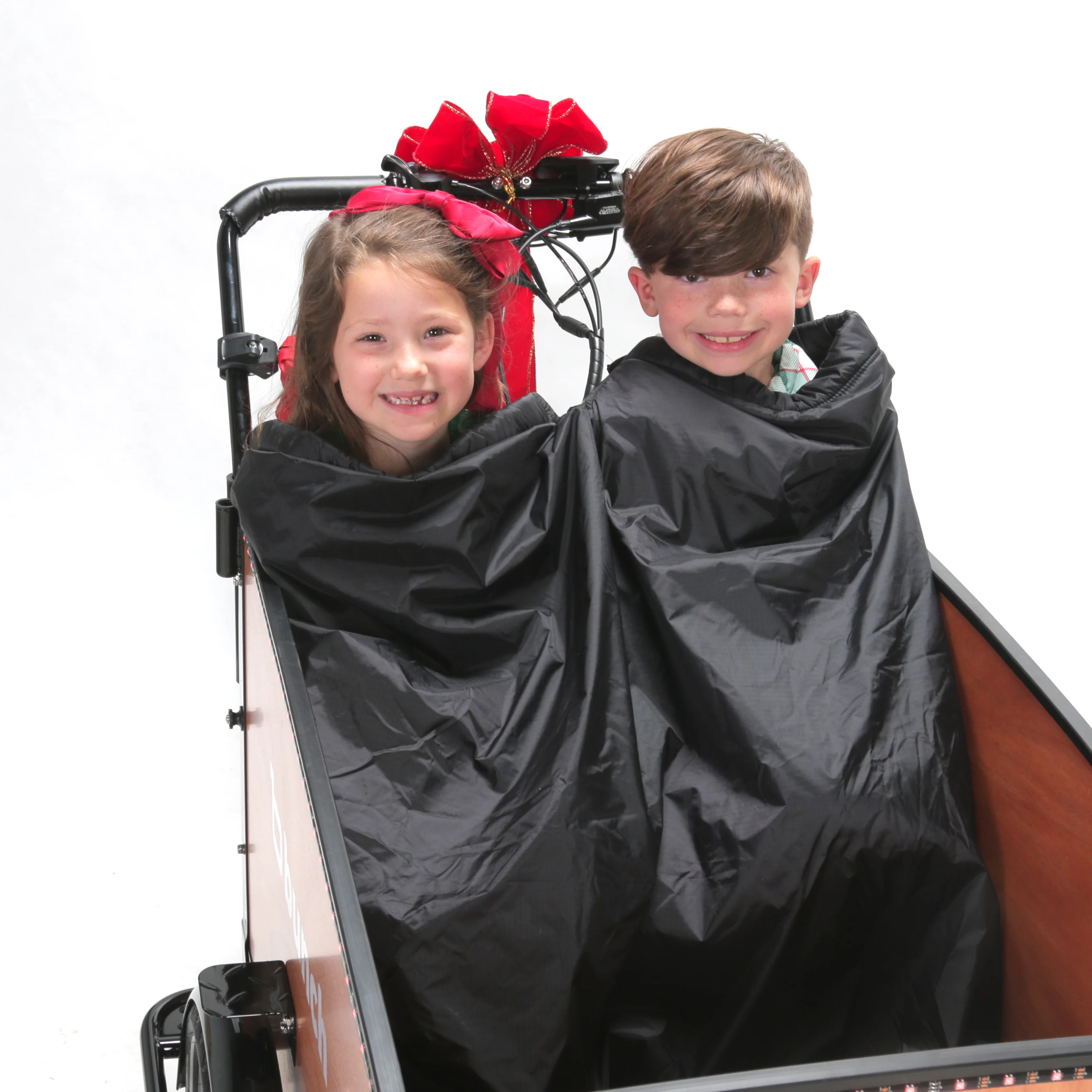 Lark's Bike Blanket - Image 9